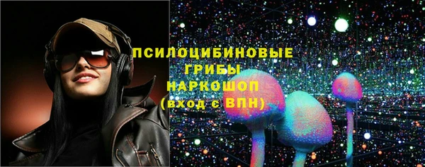 СК Новозыбков