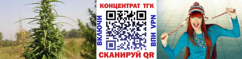 Дистиллят ТГК Wax shop состав Моршанск